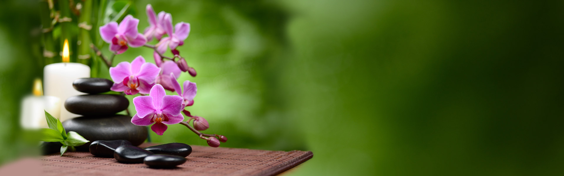 گروه مشاورین املاک ارگ